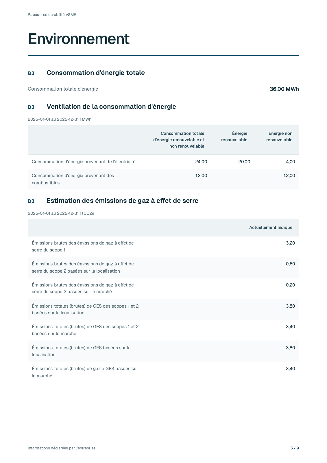 Page 5 du rapport fictif 2025 de Lindekulla Teknik AB