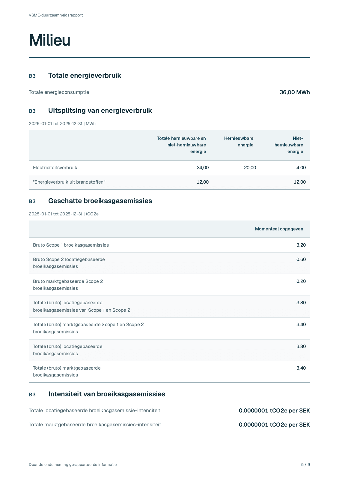 Pagina 5 uit het fictieve rapport 2025 van Lindekulla Teknik AB